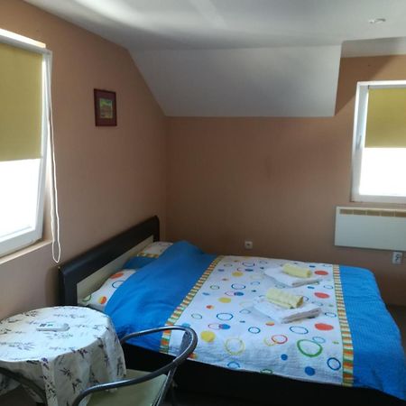 Zen Apartmani Novi Sad Extérieur photo