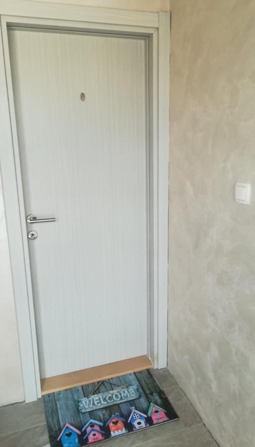 Zen Apartmani Novi Sad Extérieur photo