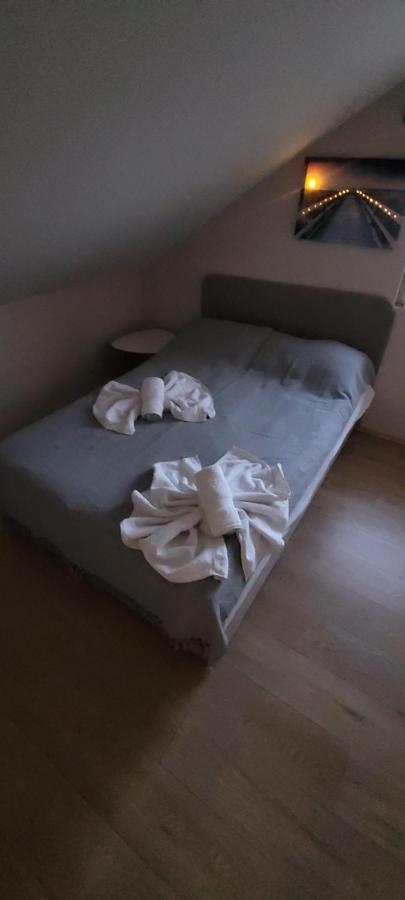 Zen Apartmani Novi Sad Extérieur photo