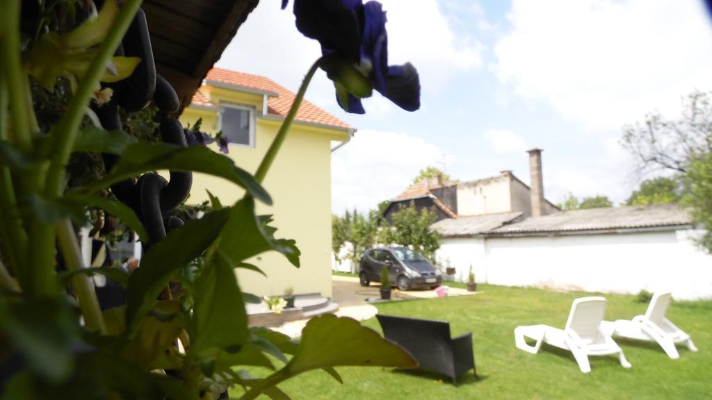 Zen Apartmani Novi Sad Extérieur photo