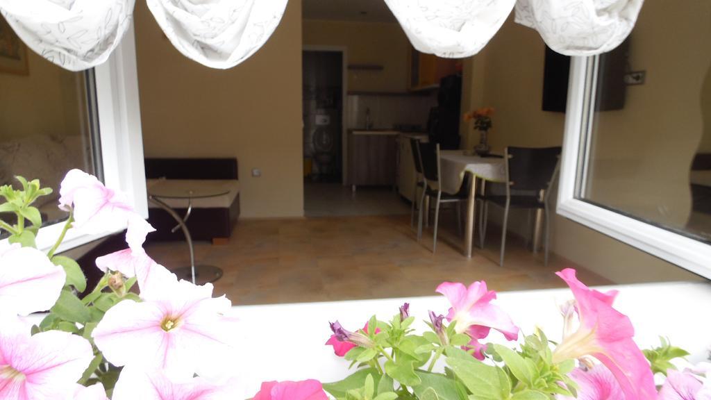 Zen Apartmani Novi Sad Extérieur photo